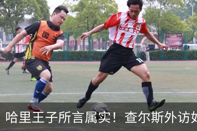 哈里王子所言属实！查尔斯外访如期进行，威廉王储继位再起变数