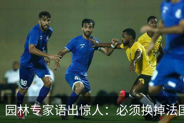 园林专家语出惊人：必须换掉法国梧桐，有很多中国好树被“雪藏”