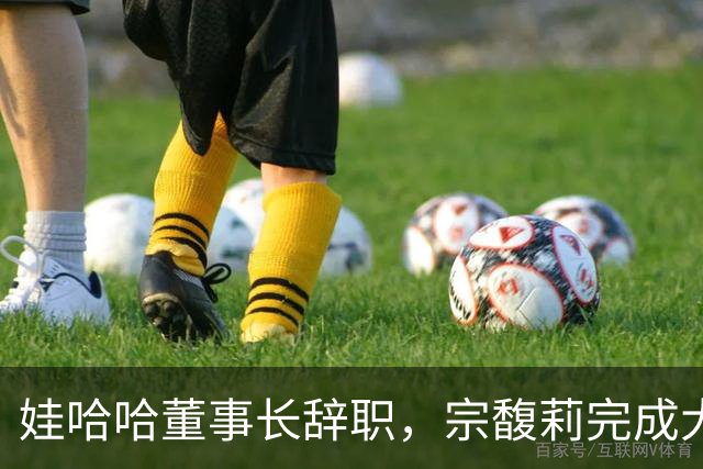 娃哈哈董事长辞职，宗馥莉完成大清洗
