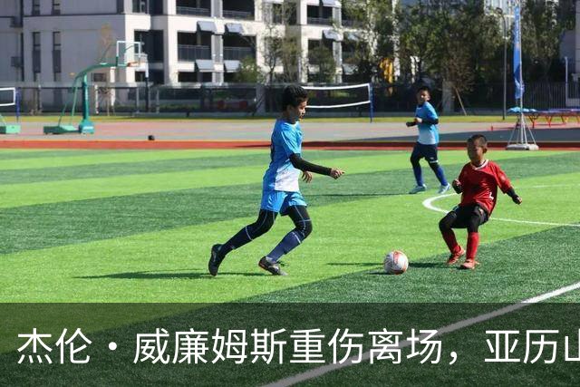 杰伦·威廉姆斯重伤离场，亚历山大含泪：撑到他回来