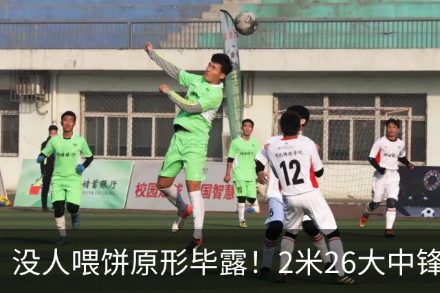 没人喂饼原形毕露！2米26大中锋仅5分2板，球迷：杜锋真没骂错你