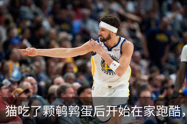 猫吃了颗鹌鹑蛋后开始在家跑酷，从客厅到厨房来回冲刺半小时，主人吓到发帖问“是不是吃坏了”，想不到评论区全是懂猫咪的“知音”