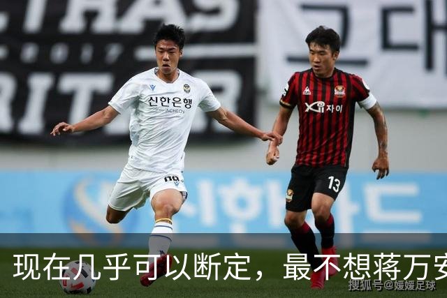 现在几乎可以断定，最不想蒋万安当选的人，就是赵少康
