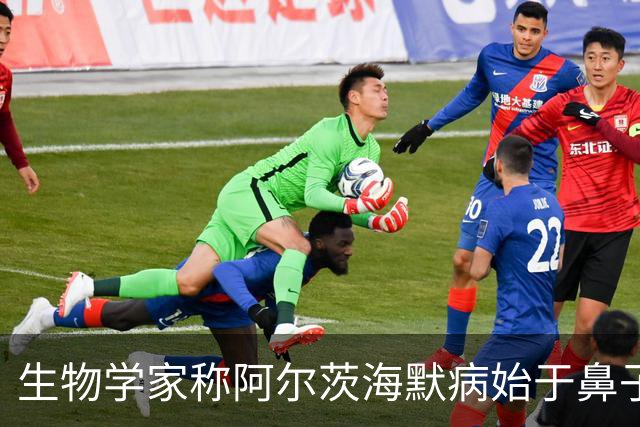 生物学家称阿尔茨海默病始于鼻子，研究指向感染与污染颗粒