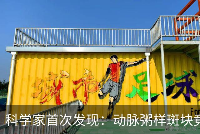 科学家首次发现：动脉粥样斑块竟能完全消退！不过需满足5个条件