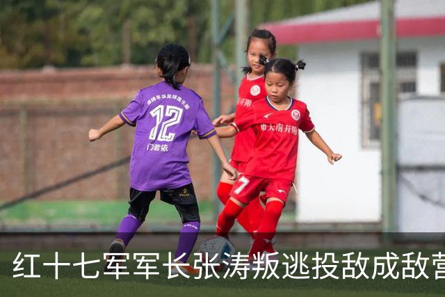 红十七军军长张涛叛逃投敌成敌营长，建国后坦白真相后来如何