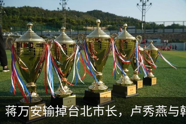 蒋万安输掉台北市长，卢秀燕与韩国瑜都没戏，国民党2028另有其人