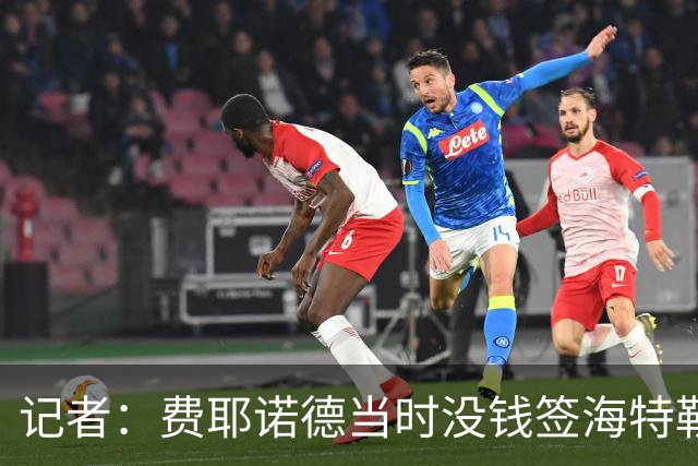 记者：费耶诺德当时没钱签海特勒伊达