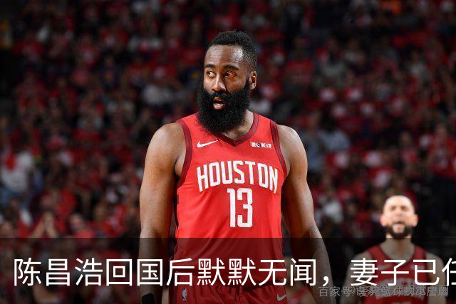 陈昌浩回国后默默无闻，妻子已任副部长，儿子成大人物备受尊敬