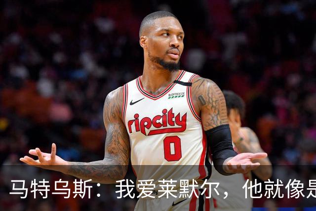 马特乌斯：我爱莱默尔，他就像是“精神怪物”