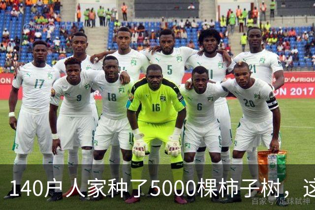 140户人家种了5000棵柿子树，这个浙江小村国庆6天来了8万人