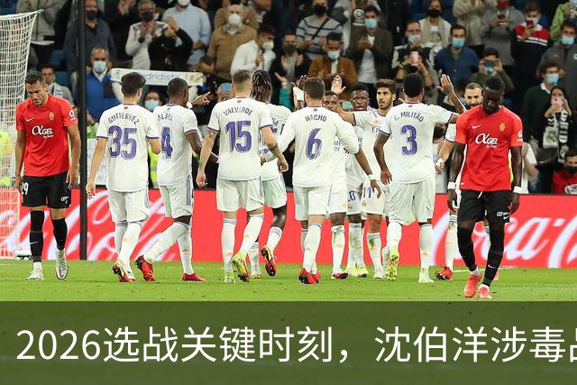 2026选战关键时刻，沈伯洋涉毒品视频疯传！赵少康已成为重要变数